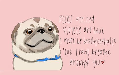 Roses are red, violets are blue, here are some valentines written especially for you. Veterinary Technician Humor, Veterinary Memes, Veterinary Medicine Humor, Vet Tech Quotes, Veterinary Humor, Vet Tech Humor, Vet Tech School, Veterinary Tech, Funny Valentines Cards