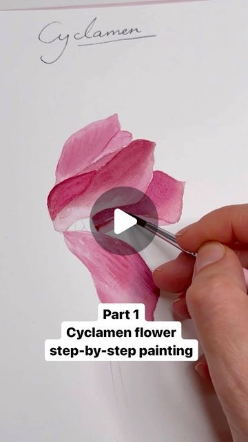 Watercolor Painting Online Coach on Instagram: "Part 1 Cyclamen Flower Painting step-by-step 🤩 This is second project which I will be painting in parts here on Instagram. We already did Calla Lily in December. You can find it here #paintstepbystepkristineart Next part we will continue with layers 👍 Will you need reference and line drawing? I plan to post it tomorrow if you will be needing it 🥰 #watercolortutorial #watercolorprocess #watercolorart #watercolorartists" Cycle Watercolor Painting, Cyclamen Watercolor Paintings, Camellia Flower Watercolor, Caladium Watercolor Painting, Cyclamen Botanical Illustration, Flower Step By Step, Watercolor Artists, Step By Step Painting, Online Coaching