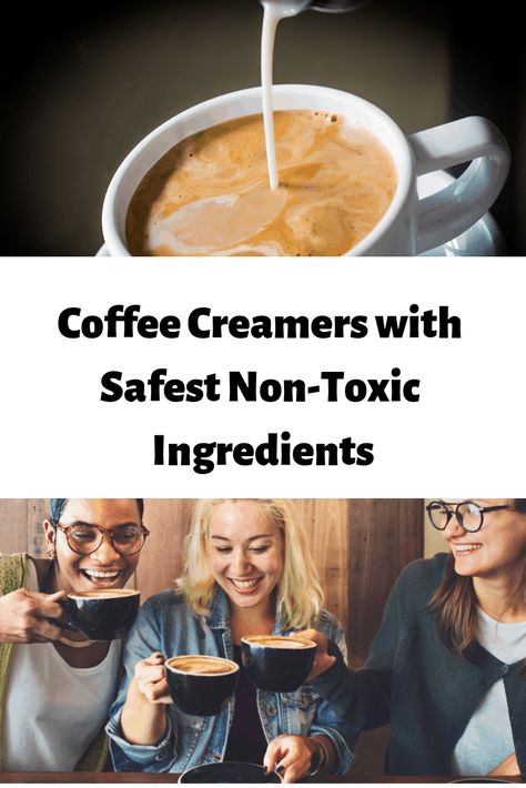 Clean Coffee Creamer, Hazelnut Coffee Creamer, Healthy Coffee Creamer, Coffee Alternative Healthy, Hazelnut Creamer, Flax Milk, Clean Coffee, Coconut Creamer, French Vanilla Creamer