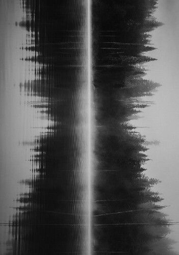 Shadows And Reflections, Vertical Pictures, Vertical Horizon, Horizon Art, Ink Photography, Vertical Art, Forest Tattoos, Music Rhythm, Water Reflection