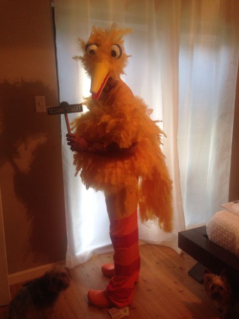 Big Bird Costume Big Bird Costume, Bird Costume, Bird Shirt, Big Bird, Birds Of A Feather, Shout Out, Fun Diys, Halloween Costumes, Birds