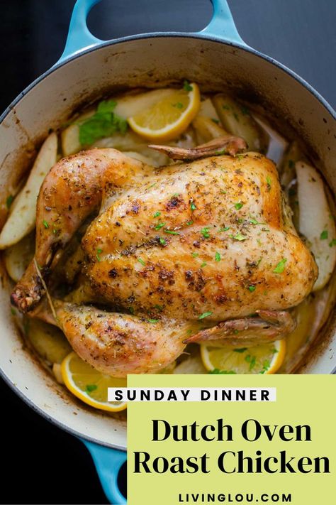 Oven Whole Chicken, Dutch Oven Roast, One Pot Roast, Oven Roast Chicken, Dutch Oven Whole Chicken, Whole Chicken Recipes Oven, Pot Roast Chicken, Dutch Oven Roast Chicken, Oven Roasted Whole Chicken