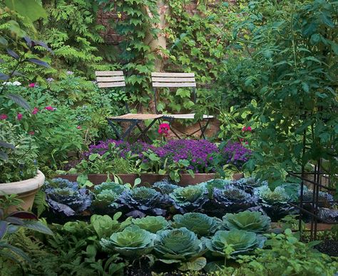 Who says a kitchen garden can't be beautiful? Turn edible plantings into works of art with four design strategies. Read the whole article here http://www.finegardening.com/design/articles/who-says-a-kitchen-garden-cant-be-beautiful.aspx# Funny Vine, Garden Ideas Cheap, Video Garden, Potager Garden, Garden Design Layout, Survival Gardening, Fine Gardening, Edible Landscaping, Veg Garden