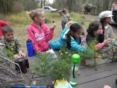 The Future of Learning: Project-based*, Place-based, Experiential, Authentic… Malibu Farm, Problem Based Learning, Values Education, Ela Teacher, Instructional Strategies, Outdoor Classroom, Experiential Learning, School Yard, Service Learning