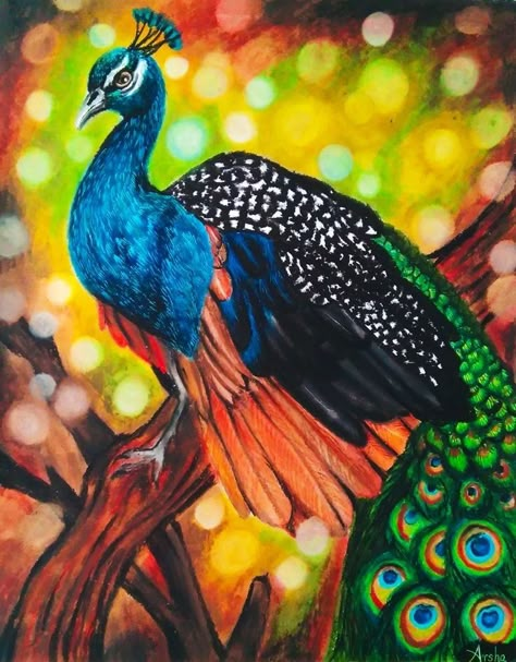 Peacock Painting Easy, Pastel Drawing Ideas Easy, Pastel Art Easy, Pastel Drawings For Beginners, Oil Pastel For Kids, Easy Oil Pastel Drawings, Pastel Painting For Beginners, Oil Pastel Drawings For Beginners, Peacock Drawing With Colour