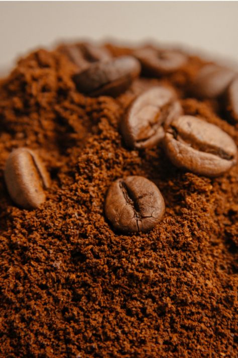 Growing Coffee, Vegan Hot Chocolate, Coffee Delivery, Garden Remedies, Fair Trade Coffee, Uses For Coffee Grounds, North Miami Beach, Mushroom Coffee, Coffee Plant