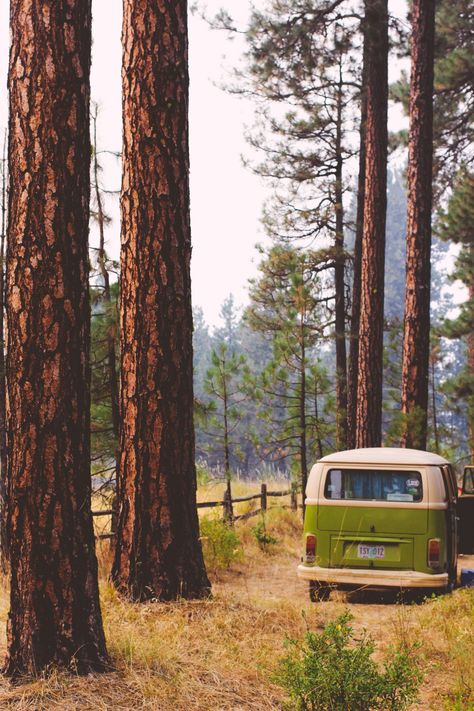 Travelling Inspiration, Road Trip Checklist, Caravan Vintage, Camping Images, Trout Lake, Volkswagen Van, Combi Volkswagen, Green Vans, Camping Aesthetic