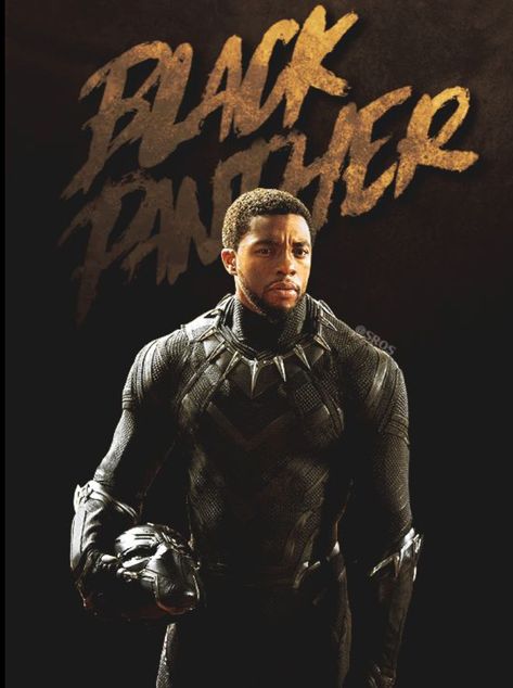 Black Panther Hd, Black Panther Movie Poster, King T Challa, Black Panther Movie, Panther Pictures, Black Panther Chadwick Boseman, Hotel Hospitality, Black Panther 2018, T Challa