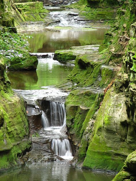 Pewit's Nest by ET's Photo Home, via Flickr Wisconsin Waterfalls, Baraboo Wisconsin, Chasing Waterfalls, Wisconsin Travel, Road Trip Usa, Pretty Places, Vacation Spots, Travel Dreams, Places To See