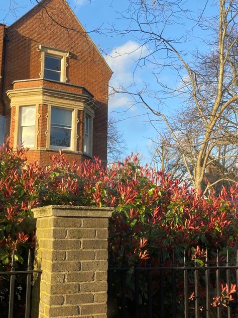 london suburbs aesthetic sunlight colorful summer spring London Suburbs Aesthetic, Suburbs Aesthetic, Aesthetic Sunlight, London Suburbs, Long Road, Backyard Garden, England, London, Road