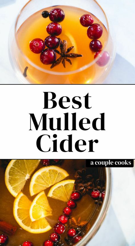 Hot Mulled Apple Cider, Mulled Apple Cider Recipe, Mulled Cider Spices, Hot Mulled Cider, Mulled Cider Recipe, Cold Dip Recipes, Mulled Apple Cider, Best Fish Recipes, Winter Salad Recipes