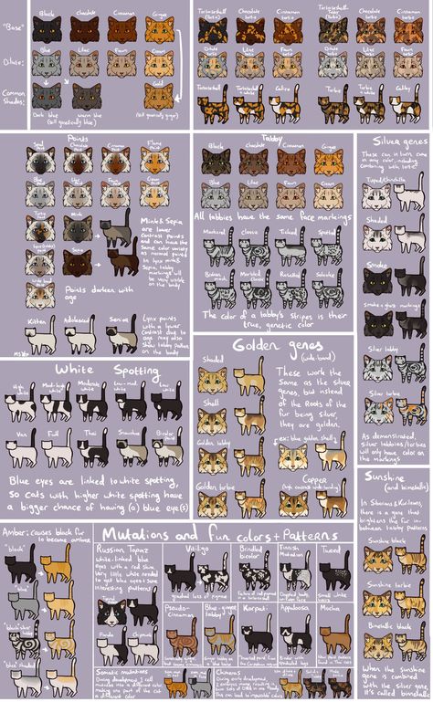 Cat Color Chart, Cat Drawing Tutorial, Cats Art Drawing, Cat Anatomy, Warrior Cats Fan Art, Warrior Cat Drawings, Warrior Cat Oc, Cat Oc, Cat Reference