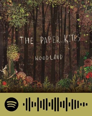 The Paper Kites, Music Recommendations, Kites, Willow Tree, Dream Wedding, Music, Art