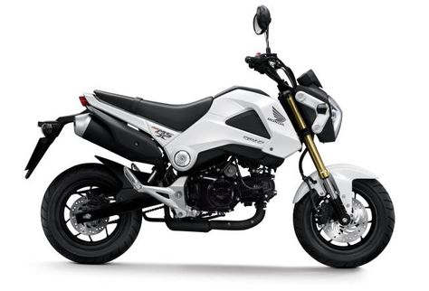 Honda MSX 125 (Grom 125) (2013-present) | moto-choice.com Grom Motorcycle, Honda Grom 125, Honda Msx 125, Honda 125, Honda Ruckus, Motor Yamaha, Honda Grom, Motos Honda, New Honda