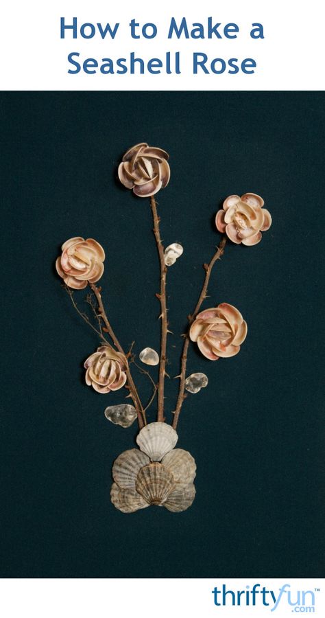 Sea shells are used in many craft projects including the creating of lovely shell flowers. This is a guide about how to make a seashell rose. Shells Crafts, Seashell Ideas, Pista Shell Crafts, Seashell Flowers, Shells Jewelry, Beach Crafts Diy, Shell Ideas, Seashell Projects, Circle Crafts