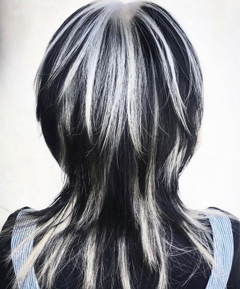 High Hairstyles, Skunk Hair, Hair 101, Dyed Hair Inspiration, Shot Hair Styles, Alternative Hair, Dye My Hair, Hair Dye Colors, Hair Reference