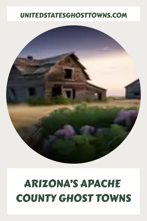 Apache County in Arizona is a region steeped in history and culture, with numerous abandoned settlements that are haunting reminders of its past. These ghost towns were once thriving communities… Arizona Ghost Towns, Abandoned Town, Magnet Fishing, Unique Architecture, Ghost Towns, Arizona, Ghost, United States, History