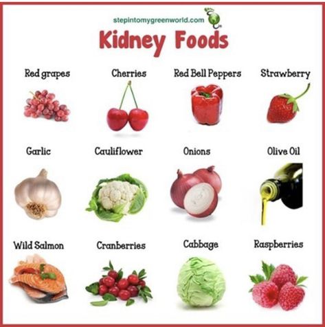 Kidney Foods, Kidney Healthy Foods, Food For Kidney Health, Healthy Kidney Diet, Kidney Friendly Diet, Kidney Detox, Kidney Recipes, Kidney Friendly Foods, Healthy Kidneys