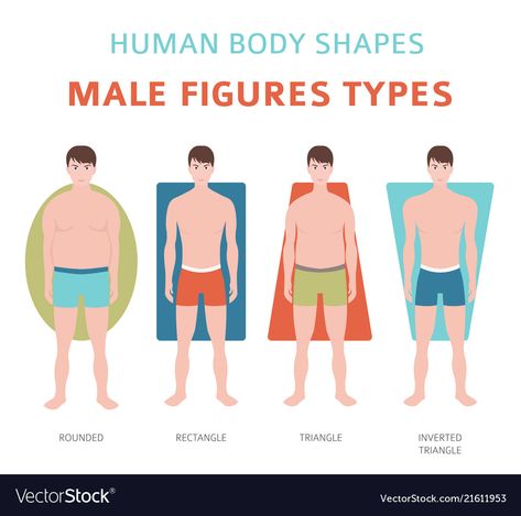 Body Shapes Male, Mens Body Types, Human Body Shape, Body Shape Drawing, Preventative Health, Inverted Triangle, Body Figure, Body Drawing, Male Figure