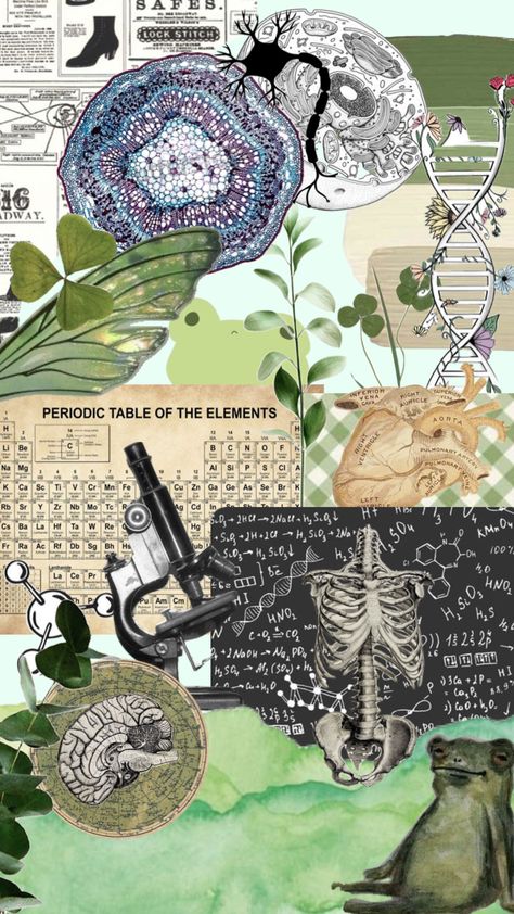 Physics Aesthetic Background, Microbiologist Wallpaper, Science Aesthetic Collage, Dr Aesthetic Wallpaper, Biotechnology Art Design, Biologist Wallpaper, Dna Wallpaper Biology, English Title Page Aesthetic, Biology Teacher Aesthetic