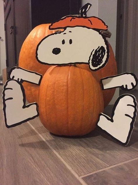 Peanuts Halloween Aesthetic, Snoopy With Pumpkin, Snoopy Pumpkin Ideas, Snoopy Fall Decor, Snoopy Halloween Decor, Snoopy Pumpkin Painting, Snoopy Pumpkin Carving, Peanuts Halloween Decor, Pumpkin Snoopy