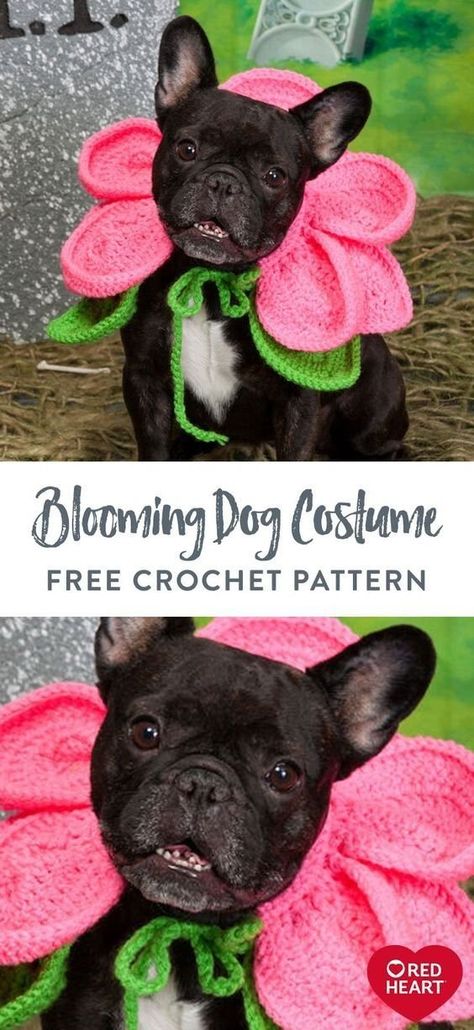 Blooming Dog Costume free crochet pattern in Red Heart Super Saver yarn. Your pooch will become a posy when you crochet a blooming collar for Halloween fun! There will be no better-dressed dog out trick-or-treating. Crochet Pet Costumes, Heart Blooming, Crochet Pickle, Crochet Dog Sweater Free Pattern, Crochet Halloween Costume, Halloween Costume Patterns, Crochet Dog Hat, Costume Crochet, Crochet Dog Clothes