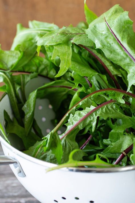 Fresh Dandelion Greens Salad with Dandelion Dressing 3 Chicken Broth Soup, Dandelion Benefits, Dandelion Greens, Types Of Sandwiches, Pilaf Recipes, Citrus Vinaigrette, Dandelion Tea, Bitter Greens, Dandelion Leaves