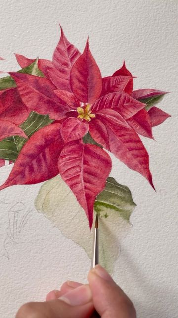 Simple Christmas Watercolor Ideas, Christmas Month, Watercolor Poinsettia, Christmas Posts, Poinsettia Cards, Watercolor Calligraphy, Christmas Light Displays, Watercolor Lessons, Watercolor Christmas Cards