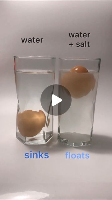 Science for Kids on Instagram: "Floating egg experiment…by adding salt to water, water density increase. When salty water reaches the density that is higher than the density of the egg, it will force the egg to float🥚🍳🧐

 #science #kidsactivities #" Density Experiment For Kids, Egg Experiments For Kids, Egg Experiment, Density Experiment, Floating Eggs, Egg Experiments, Water Experiments, Pre Primary, Water Water