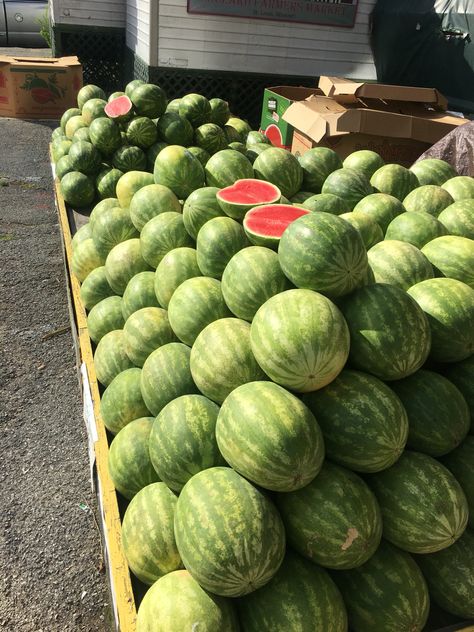 Missouri Watermelons!!! Arizona Watermelon, Watermelon Farm, Eating Watermelon Aesthetic, Extra Watermelon, Watermelon Farming, Watermelon With Fruit Inside, Church Poster Design, Fruit Picture, Watermelon Fruit