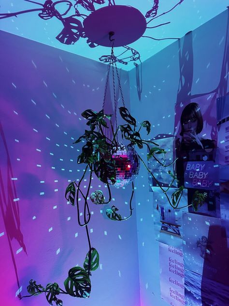 Disco Ball Aesthetic Room, Disco Bedroom Aesthetic, Disco Ball Room Aesthetic, Disco Lamp, Disco Ball Lamp, Plant In Disco Ball, Sunset Lamp, Disco Ball Planter, Plant Disco Ball