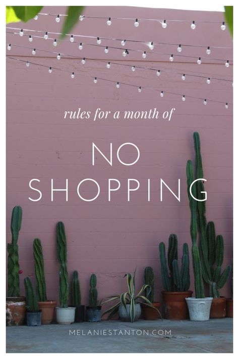 Rules for Month of No Shopping - Melanie Stanton No Buy Month, No Buy, Chirstmas Decor, Dave Ramsey Budgeting, Dollar Tree Christmas Decor, Mom Goals, Cash Budget Envelopes, Money Saving Advice, Month Of February