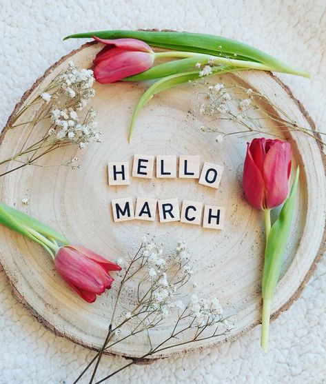 New Month Wallpaper, Birthday Special Wishes, Hello March Images, Iphone Spring Wallpaper, March Images, Month Wallpaper, Wallpapers Spring, Neuer Monat, Hello Quotes