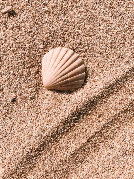 35 Summer Wallpapers for iPhone (2024) Beach Ig Story, Dune Aesthetic, Beige Palette, Beige Decor, Swimwear 2024, Muted Earth Tones, Beige Design, Soft Minimalism, Wallpaper Iphone Summer