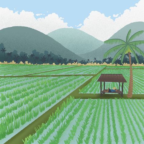 🍑Day 22: Village🍑 I’m trying to capture the vibes of your regular freshly planted rice paddy fields in the southeast asia #peachtober #peachtober24village . . . #drawings #drawing #illustration #illustrations #illustratoroninstagram #drawingoftheday #artdiscover #illustrationoftheday #draw #minimalism #visualartist #creativeart #artwork #art #artstagram #procreateart #illustrationartists #illustrationartist #theillustrationroom #illustrator #illustration #artwork Rice Fields Illustration, Paddy Field Illustration, Rice Field Drawing, Fields Drawing, Rice Paddy Fields, Simbang Gabi, Rice Paddy, Rice Fields, Illustrator Illustration