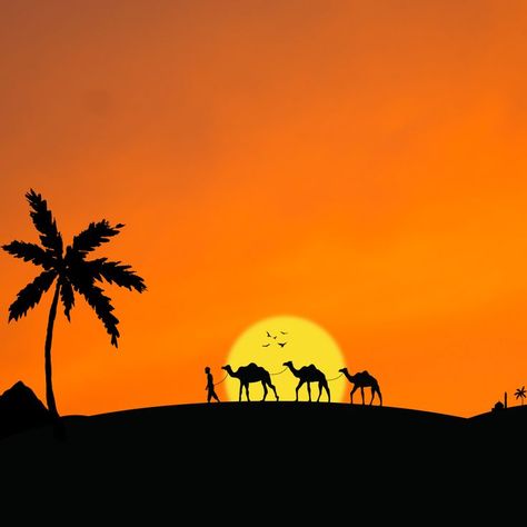 #wallpaper #illustration #art #digital #canva #camel #sunset #sun #desert Camel Painting, Desert Illustration, Illustration Art Digital, A History Of Magic, Sheet Music Crafts, Anubis Tattoo, Wood Art Diy, Wallpaper Illustration, Abstract Art Painting Diy