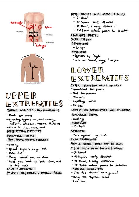 Head To Toe Assessment Nursing, Assessment Nursing, Breath Sounds, Nursing 101, Nursing School Motivation, College Advice, Skin Hair, School Motivation, Lungs