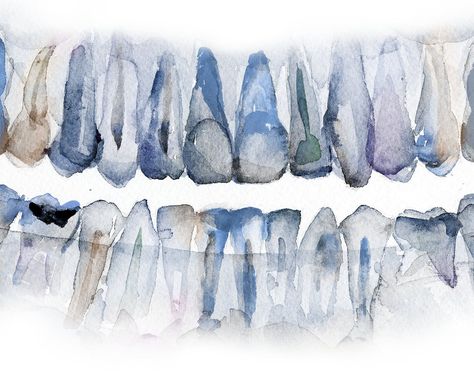 Pan X Ray Teeth Watercolor Art Print - Dental Anatomy Watercolor Art Print In Blue Dental Wallpaper, Dentist Art, Anatomy Images, Teeth Art, Dental Anatomy, Dental Surgeon, Dental Office Decor, Dental Technician, Road Art