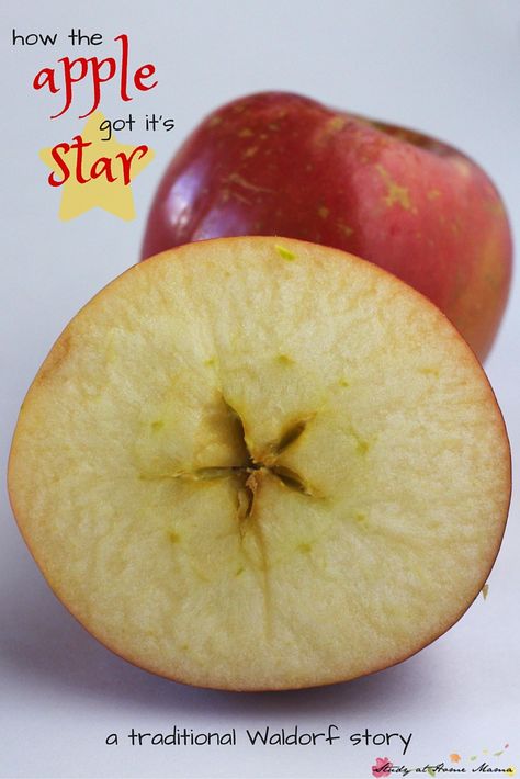 A twist on the traditional Waldorf Apple Story: a fairy story for children about how the apple got its star, which children can then discover for themselves Waldorf Lessons, Waldorf Preschool, Waldorf Curriculum, Waldorf Kindergarten, Waldorf Teaching, Apple Hat, Apple Lessons, Apple Preschool, Apple Unit