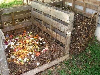 Composting Build Compost Bin, Compost Bin Pallet, Compost Bin Diy, Compost Pile, Diy Compost, How To Make Compost, Fall Garden Vegetables, Garden Compost, Pallet Garden