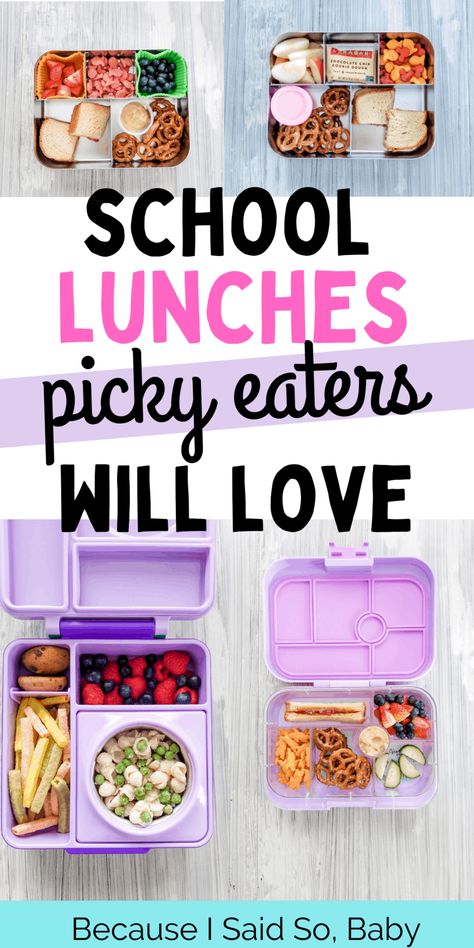 Sandwich For Picky Eater, Picky Kids School Lunch Ideas, Healthy Toddler School Lunch Ideas, Lunch Ideas For Picky Eaters School, Kindergarten Lunches For Picky Eaters, Bento Box Lunch Ideas For Picky Kids, Bento Box For Picky Eaters, Easy Picky Eater Lunches, School Lunches Picky Eaters