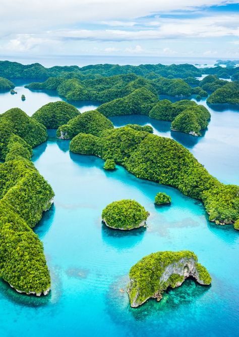 70 islands in Palau. Koror Palau, Palau Island, Kat Diy, Oceania Travel, Exotic Places, Palau, Vanuatu, Beautiful Islands, Places Around The World