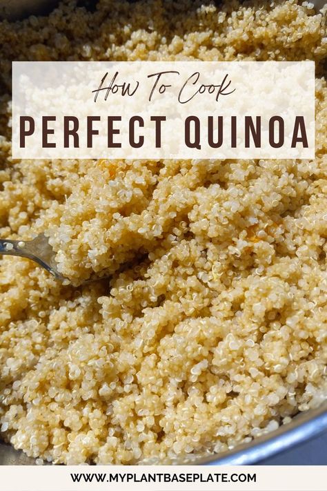 Learn how to cook quinoa easily from the comfort of your stovetop. Quinoa makes the perfect filling nutritious grain for lunch or meal prep idea. How To Cook Millet, Plant Protein Sources, Ancient Grains Recipes, What Is Quinoa, Fluffy Quinoa, Perfect Quinoa, Cook Quinoa, Toasted Quinoa, Vegetarian Quinoa