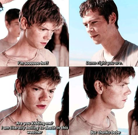 Maze Runner 1, Maze Runner Characters, Maze Runner Thomas, Maze Runner Trilogy, Maze Runner Funny, Maze Runner Cast, Maze Runner Movie, Newt Maze Runner, The Scorch Trials