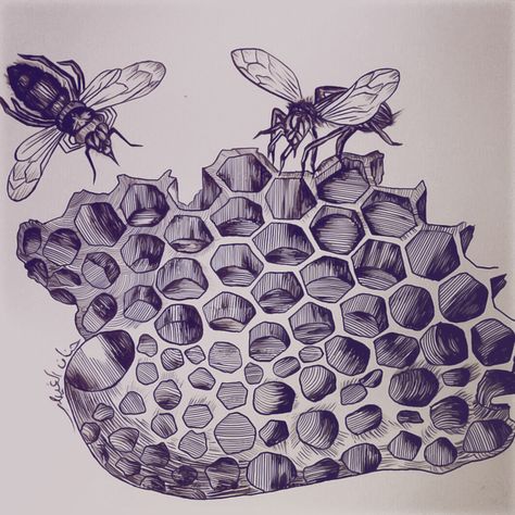 beehive Beehive Sketch, Beehive Drawing, Beehive Art, Bee Stuff, Diy Tray, Gcse Art, Sketch Inspiration, Ap Art, Bee Hive