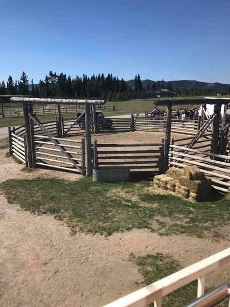 Round Pens For Horses, Horse Pens, Horse Farm Ideas, Horse Barn Ideas Stables, Barn Stalls, Horse Arena, Horse Barn Designs, Dream Horse Barns, Horse Barn Plans