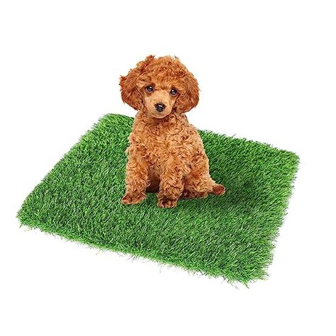 Artificial Grass For Dogs, Pet Turf, Grass Rug, Dog Bathroom, Dog Urine, Dog Potty Training, Dog Potty, Fake Grass, Puppy Pads