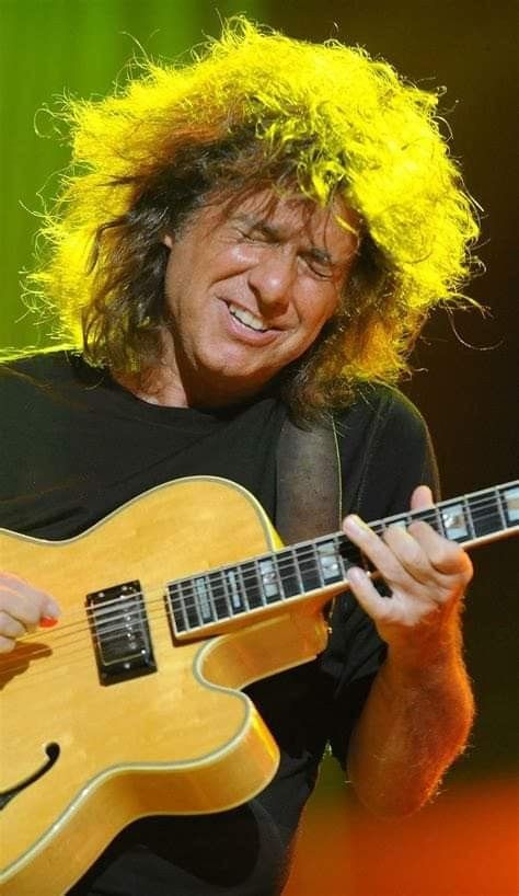 Pat Metheny, Celebrity Music, Music, Quick Saves