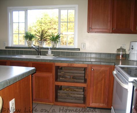 Replace the dishwasher with shelves and crates. Dishwasher Hole Ideas, Dishwasher Cabinet, Mobile Home Living, Outdoor Kitchen Appliances, The Dishwasher, Old Kitchen, Kitchen Redo, Manufactured Home, Outdoor Kitchen Design