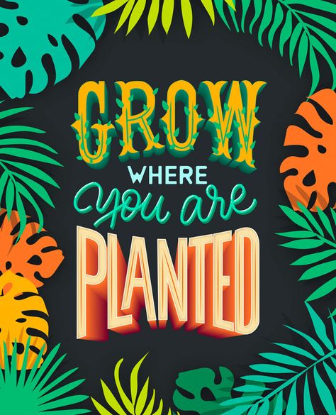 Grow where you are planted Lettering on Behance Tolerance Quotes, Baking Design, Digital Calligraphy, Floral Font, Plant Art Print, Motivational Quotes Wallpaper, Fancy Letters, Illustration Work, Food Poster Design